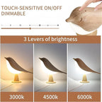 Table Bird Lamp – Touch Control LED with Aroma Diffuser & 3 Color Modes (USB Rechargeable)